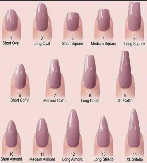 Nail Shape Chart